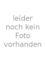 1. Vorsitzende